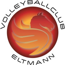 VC Eltmann