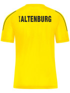 SV Motor Altenburg Shirt gelb Kinder