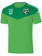 SV Grün-Weiss Waldau Shirt Herren