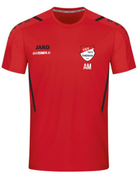 TSV 1911 Themar T-Shirt Rot