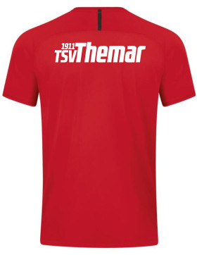 TSV 1911 Themar T-Shirt Rot