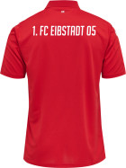 1.FC Eibstadt Polo