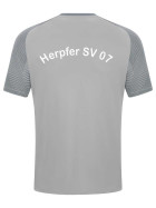Herpfer SV 07 - T-Shirt
