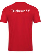 Triebeser SV - Training-Shirt Power