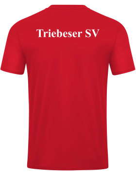 Triebeser SV - Training-Shirt Kinder Power