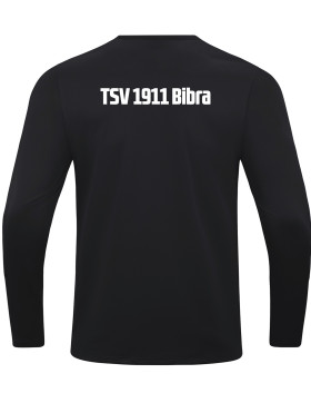 TSV 1911 Bibra Sweat Power