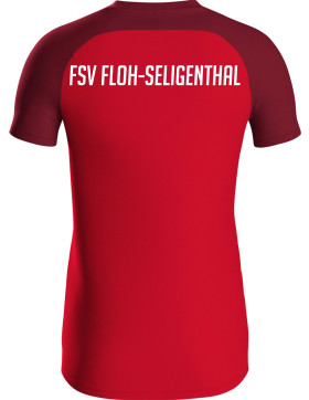 FSV Floh-Seligenthal Polo