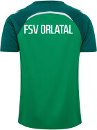 FSV Orlatal T-Shirt grün