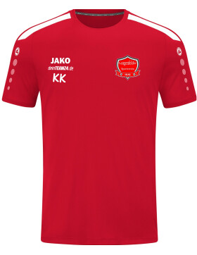 Langenfelder SV T-Shirt Power Herren