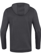 DJK Reith Zip Hoodie aschgrau Unisex