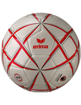 Arnstädter Handballclub Handball