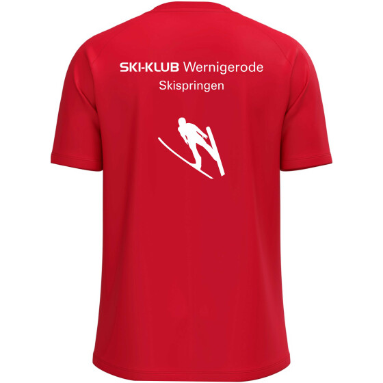Skispringen