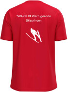 Skispringen